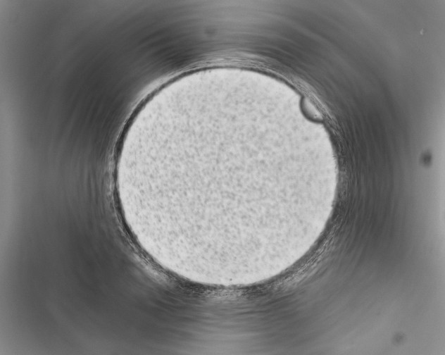 X0000116600846201001221256