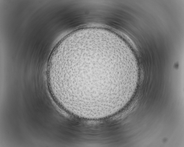 X0000116600847201001221256