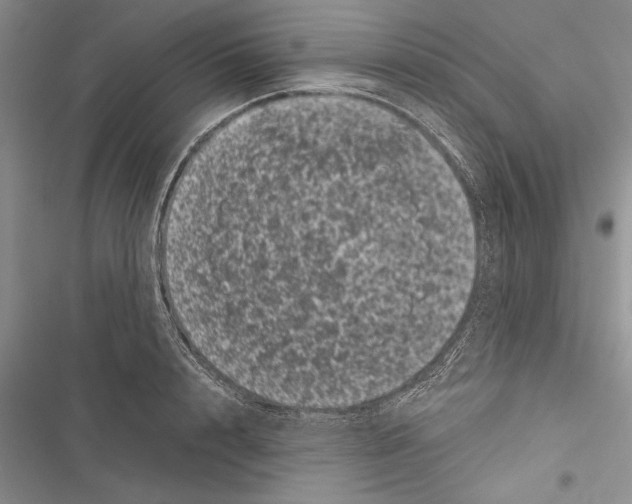 X0000116600848201001221256