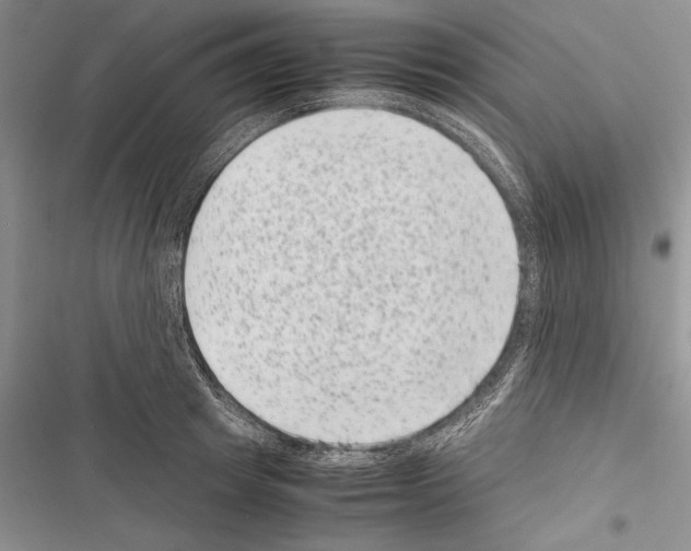X0000116600849201001221256