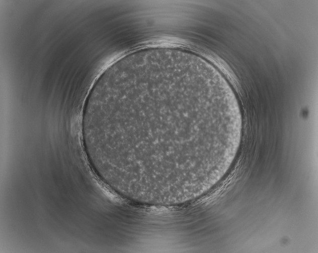 X0000116600850201001221256