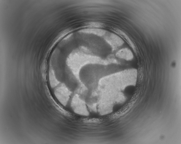 X0000116600851201001221256