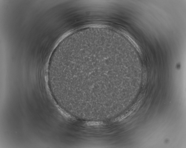 X0000116600853201001221256