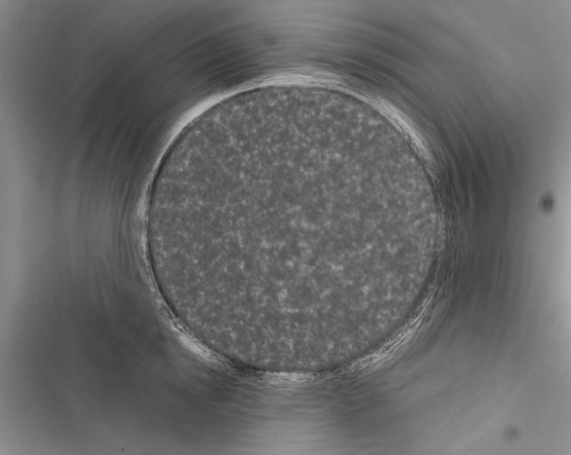 X0000116600854201001221256
