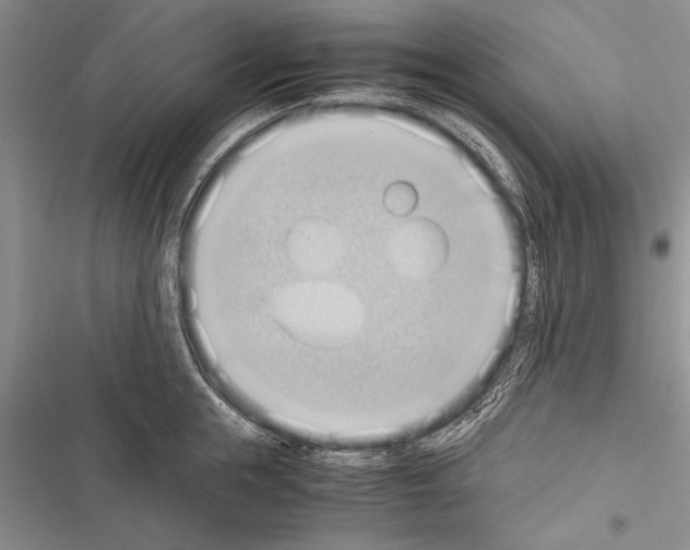 X0000116600855201001221256