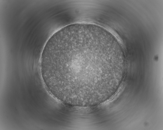 X0000116600856201001221256