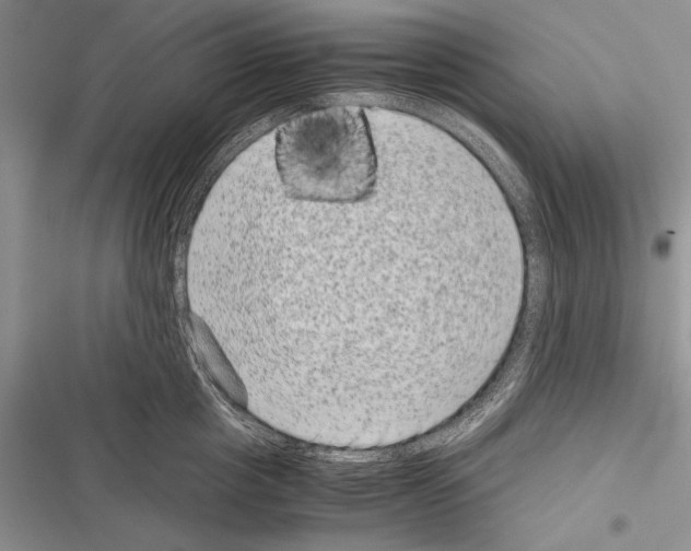 X0000116600857201001221256