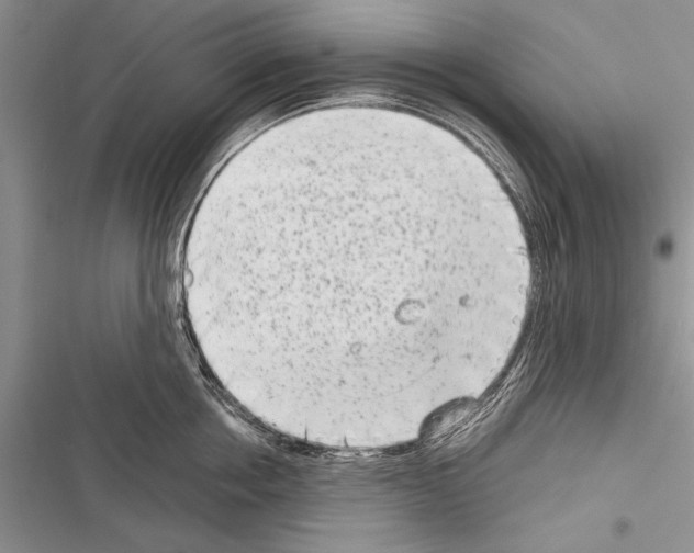 X0000116600858201001221256
