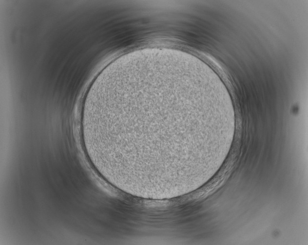 X0000116600859201001221256