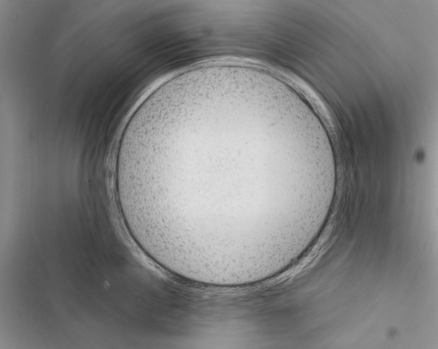 X0000116600860201001221256