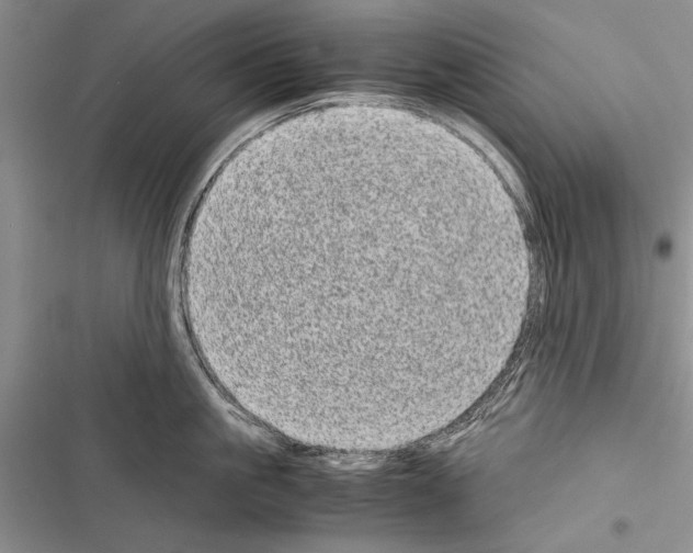 X0000116600861201001221256