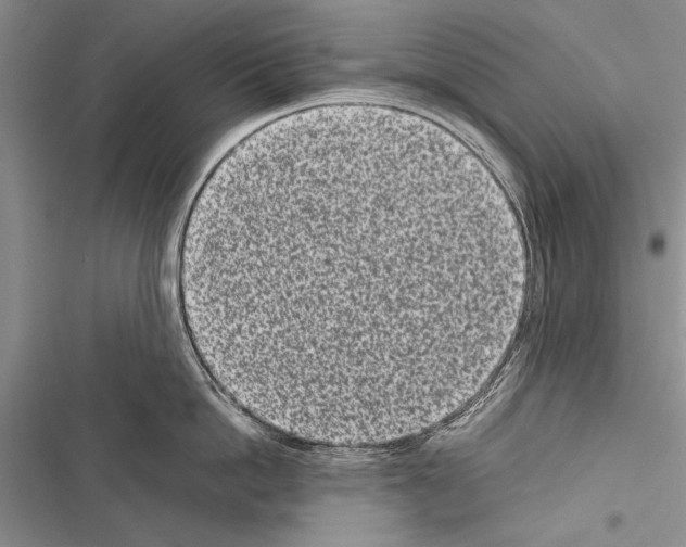 X0000116600862201001221256