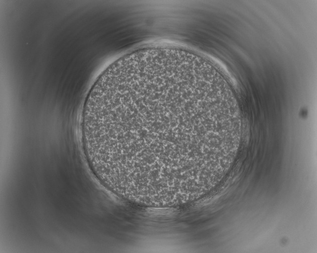 X0000116600863201001221256