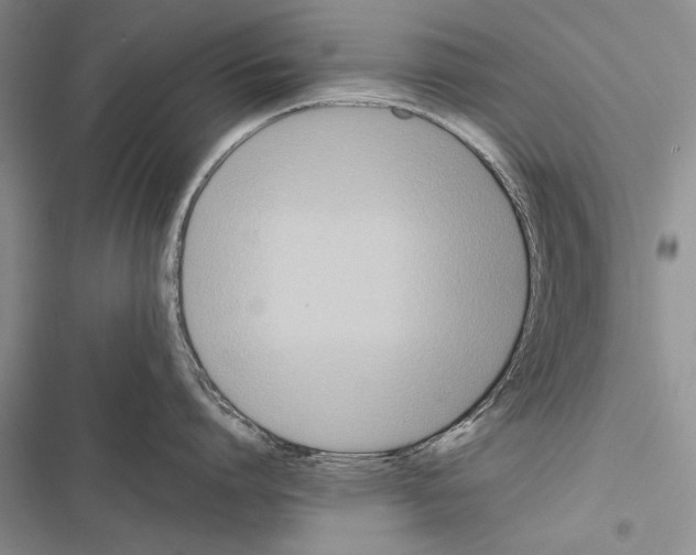 X0000116600864201001221256