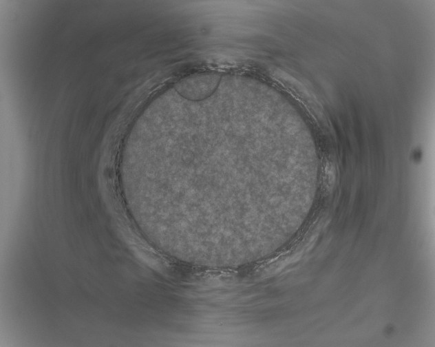 X0000116600865201001221256