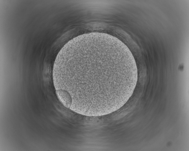 X0000116600866201001221256