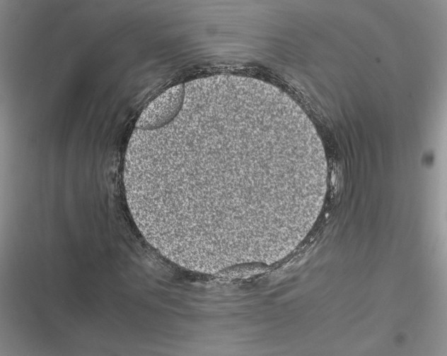 X0000116600867201001221256