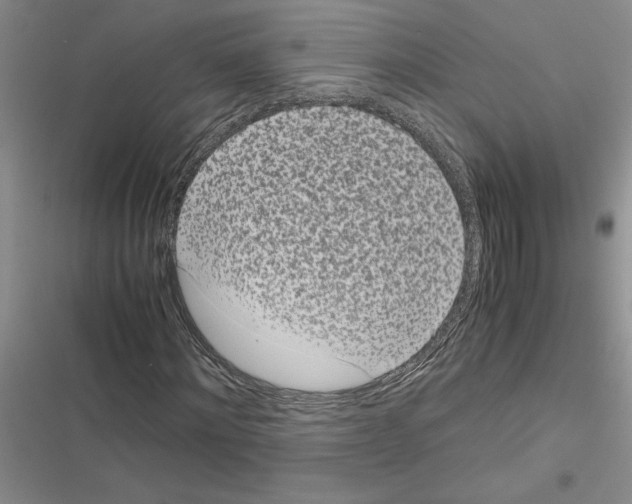 X0000116600868201001221256