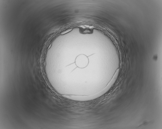 X0000116600869201001221255