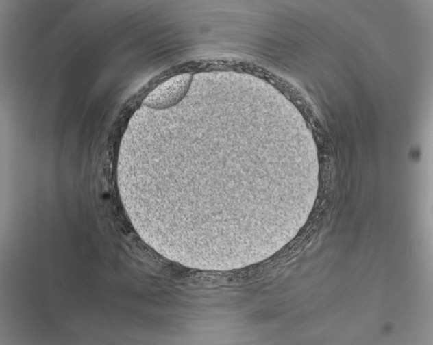 X0000116600871201001221255
