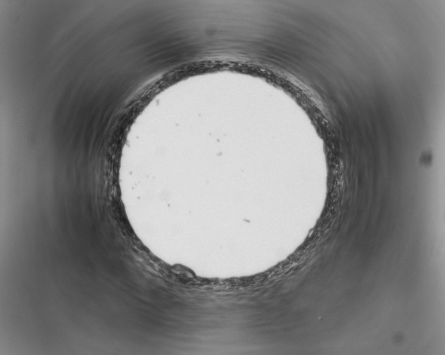 X0000116600872201001221255