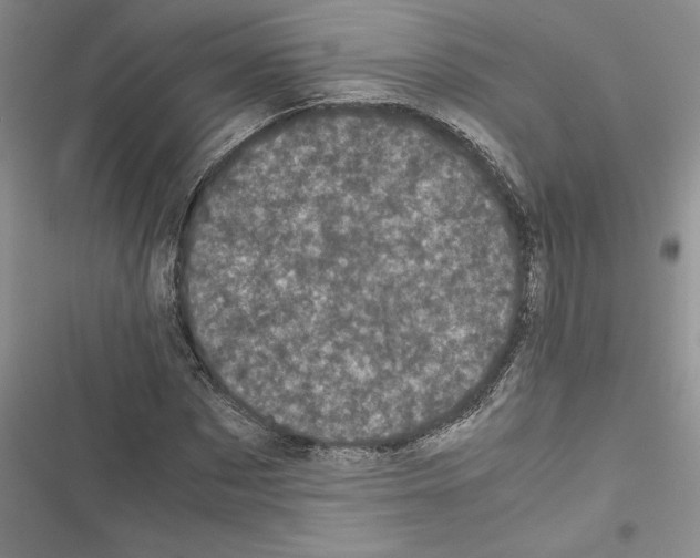 X0000116600873201001221255