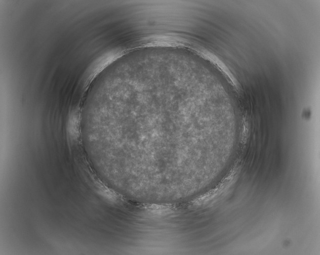 X0000116600874201001221255
