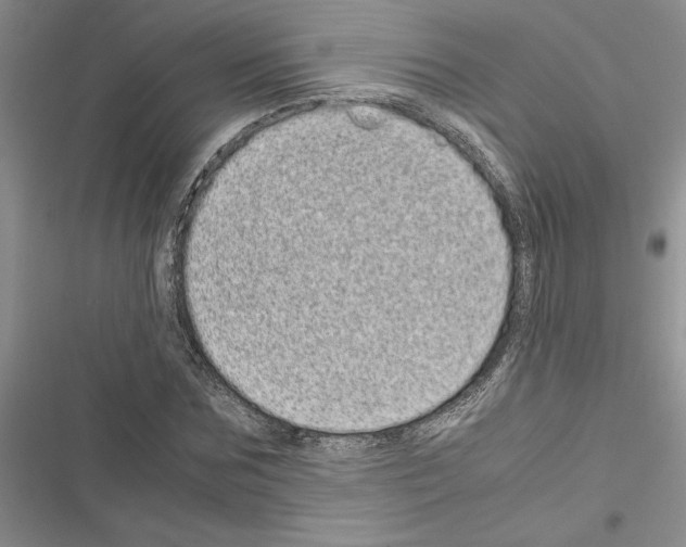 X0000116600875201001221255
