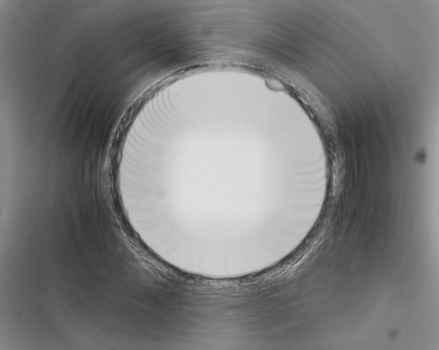 X0000116600876201001221255