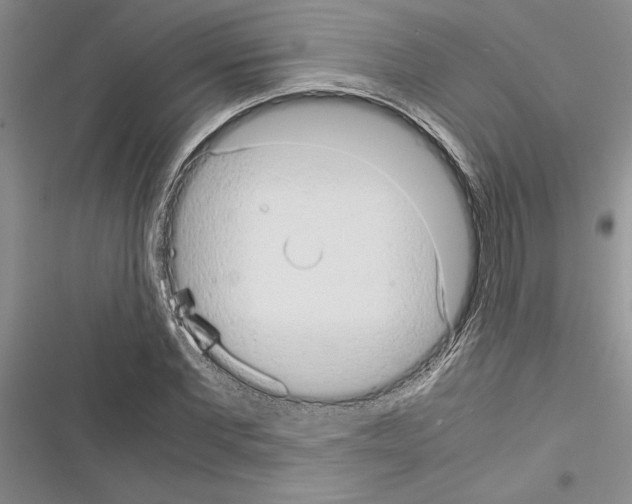 X0000116600877201001221255