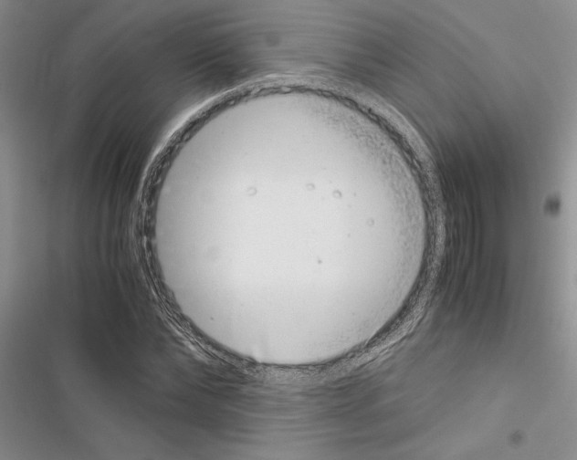 X0000116600878201001221255