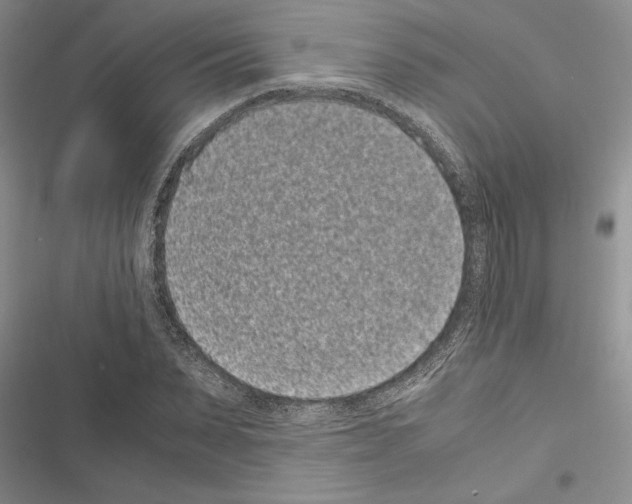 X0000116600879201001221255