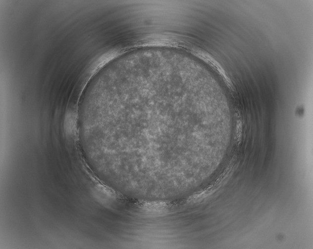 X0000116600882201001221255
