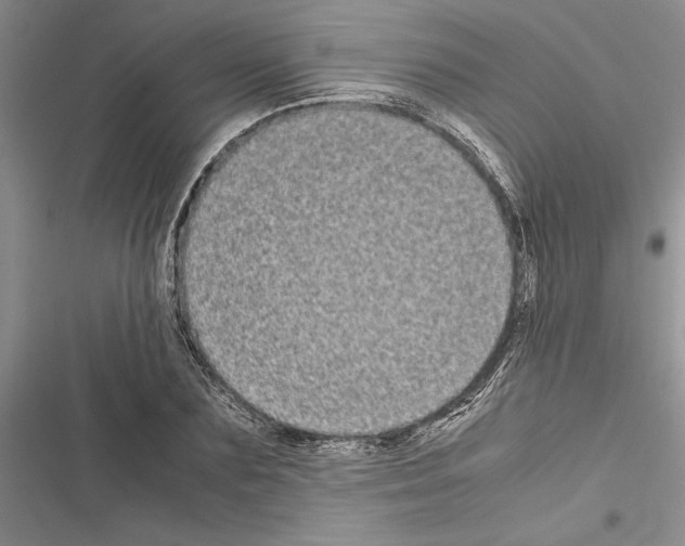 X0000116600883201001221255