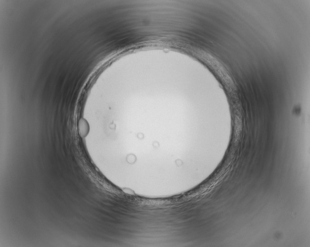 X0000116600884201001221255