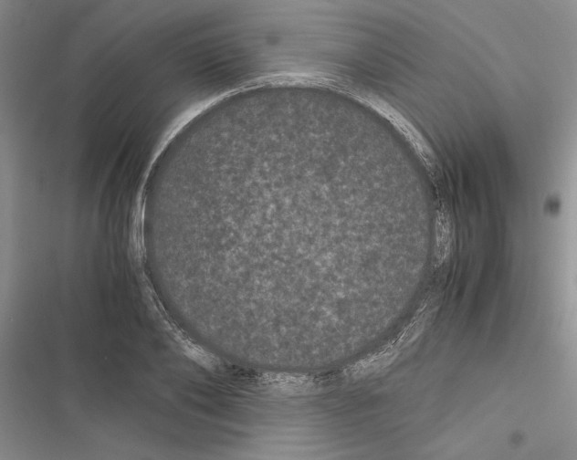 X0000116600886201001221255