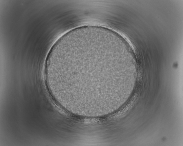 X0000116600887201001221255