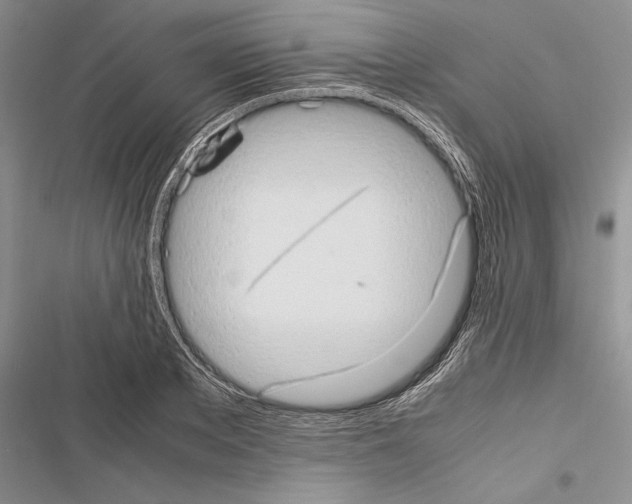 X0000116600889201001221255