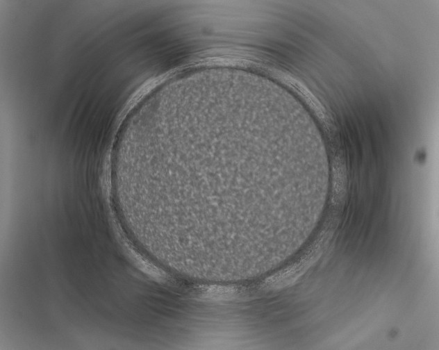 X0000116600890201001221255