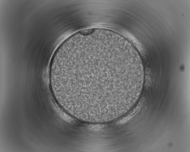 X0000116600892201001221255