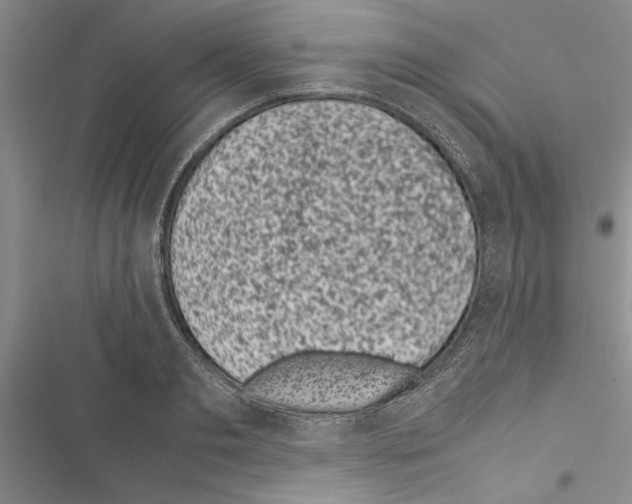 X0000116600893201001221255
