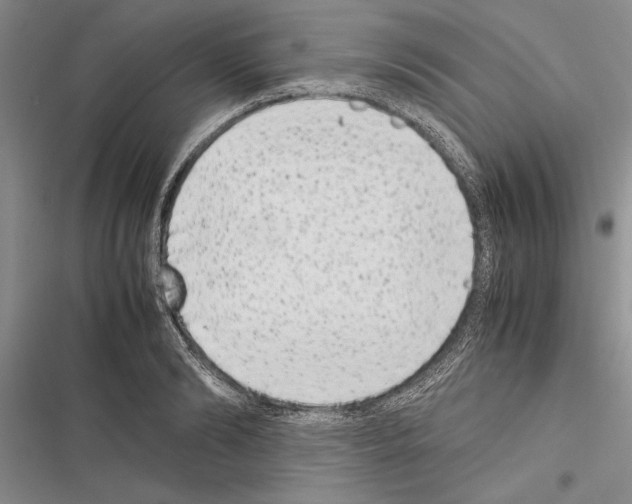X0000116600894201001221255