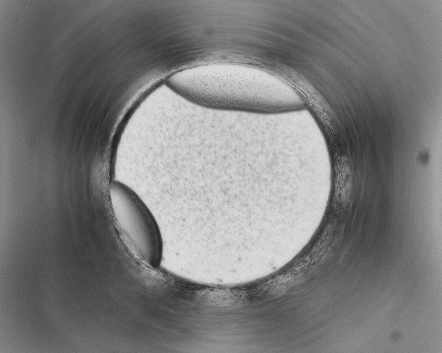 X0000116600896201001221255
