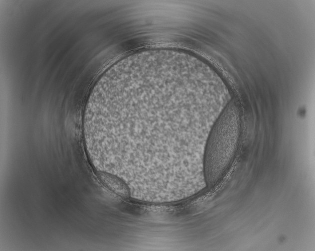 X0000116600897201001221255