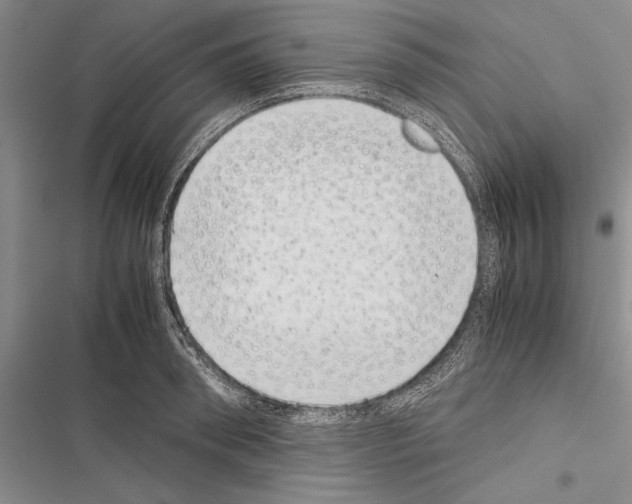 X0000116600898201001221255