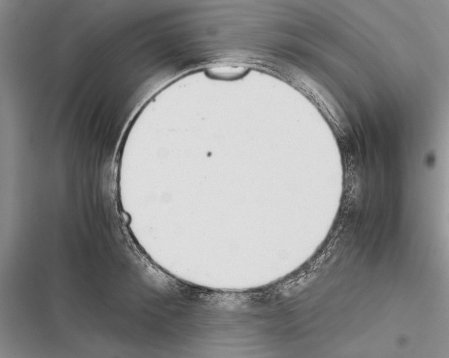 X0000116600900201001221255