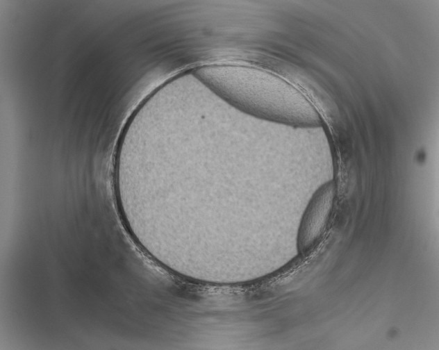 X0000116600901201001221255