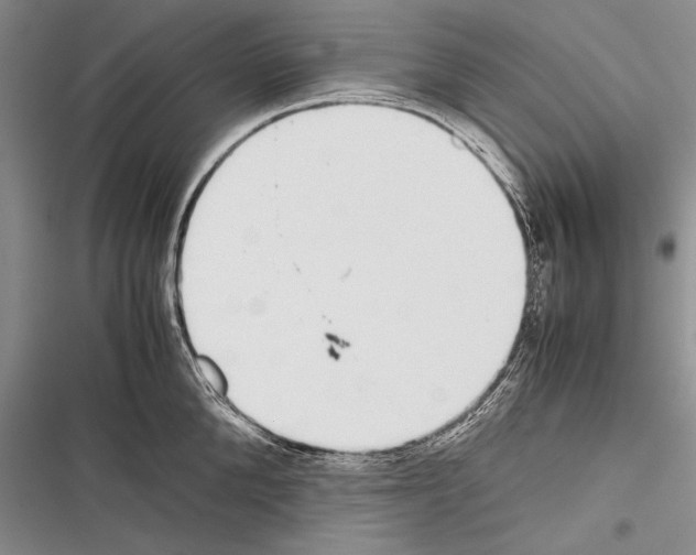 X0000116600904201001221255