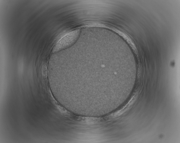 X0000116600905201001221255