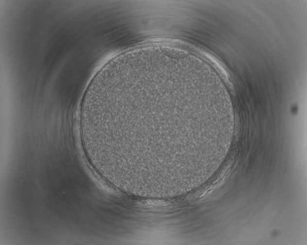 X0000116600907201001221255